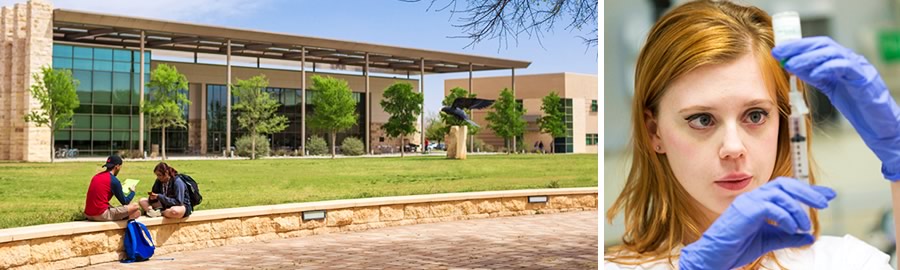 Images from around the UTSA Campus.