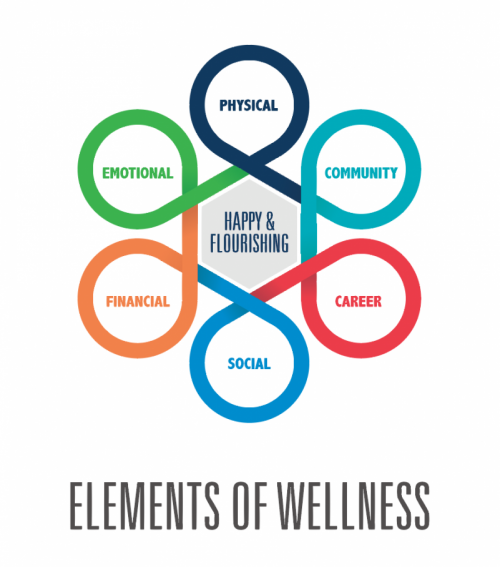Elements of Wellness: physical, community, career, social, financial, emotional. Happy & Flourishing